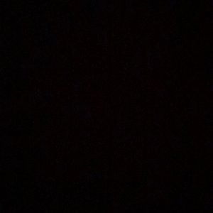 Meet your Posher, Jayna